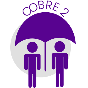  COBRE 2