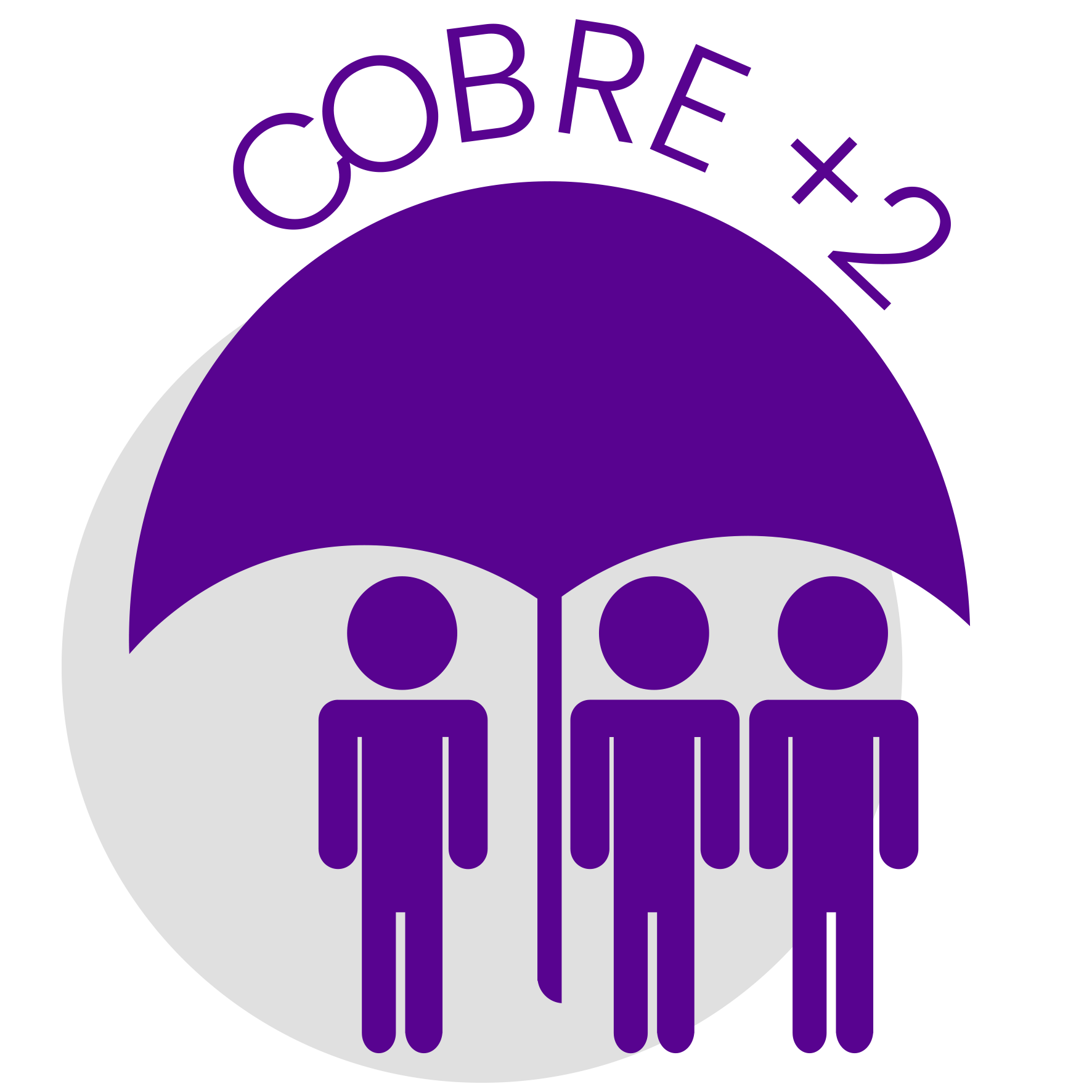  COBRE +2